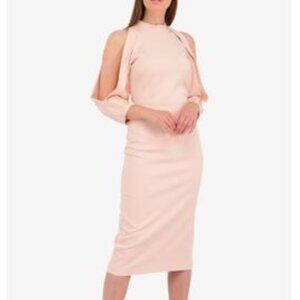 $1595 Sz S 4/6 Cushnie Et Ochs Pink Slit Long Sleeve Sheath Dress